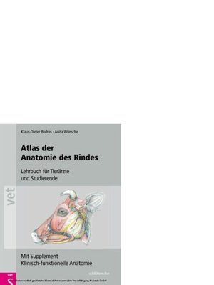 cover image of Atlas der Anatomie des Rindes